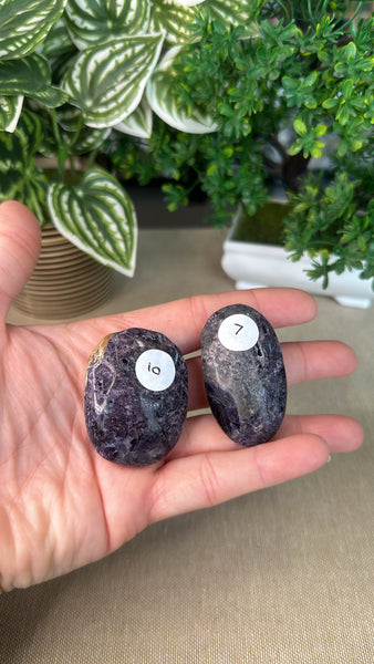 Fluorite Root Palm stones