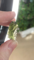 Hrbov Moldavite