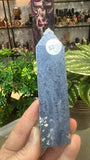 Blue Coral Fossil Points
