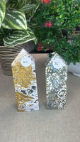 Ocean Jasper points