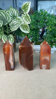 Carnelian Towers