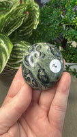 Kambaba Jasper Palm Stones