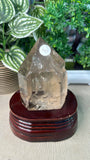 Gold Rutile Tower in custom stand