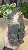 Black Quartz Cluster