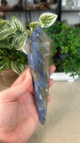 Blue Kyanite Sceptre