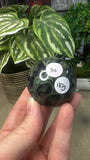 Kambaba Jasper Spheres