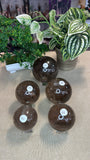 Smokey Quartz Spheres
