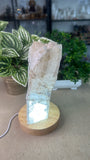 Raw Selenite Light