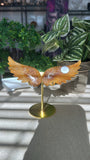 Golden Healer Angel Wings