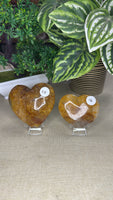 Golden Healer Hearts