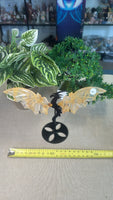 Golden Healer Dragon Wings
