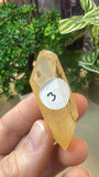 Tangerine Quartz Pieces