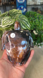 Ocean Jasper Turtle