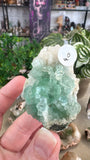 Green Apophyllite (watermelon apophyllite)