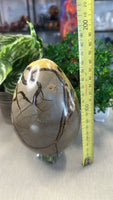 Septarian egg