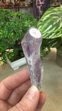 Small Amethyst Sceptres