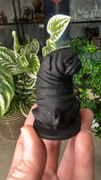 Obsidian Pug