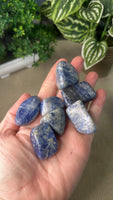 Sodalite Tumbles Large