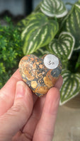 Maligano Jasper hearts