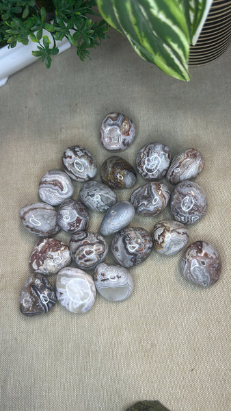 Mexican crazy lace agate tumble stones
