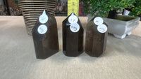 Smokey Quartz Points