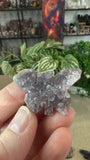 Amethyst cluster butterflies