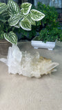 Clear Quartz Cluster