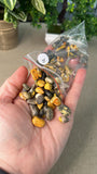 Bumble Bee Jasper Chips