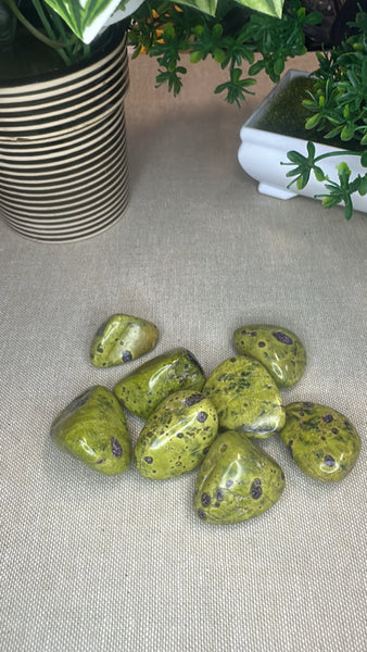 Atlantisite Tumble Stones