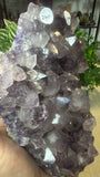Amethyst Cluster