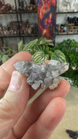 Amethyst cluster butterflies