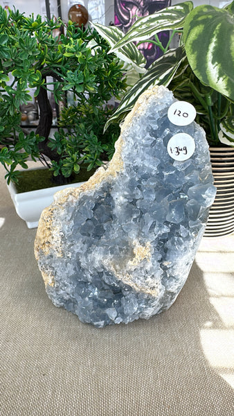 Blue Celestite Free form