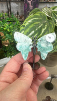 Butterfly Wings