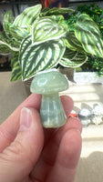 Crystal Mushrooms