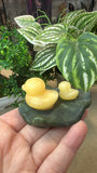 Orange calcite duck on a green jade Lily pad