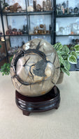 Septarian Geode Egg