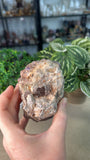 Amethyst Cluster