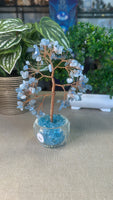 Money Trees