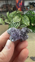 Amethyst cluster butterflies