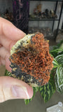 Crocoite From Adelaide Mine
