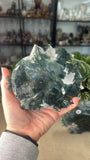 Moss Agate Fish