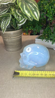 Opalite Skull