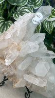 Clear Quartz cluster