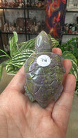 Atlantisite turtle