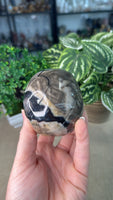 Volcanic Agate Skull