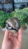 Volcanic Agate Skull