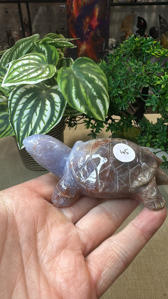 Ocean Jasper Turtle