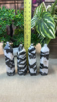 Zebra Jasper
