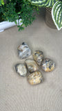 Crazy Lace Agate Large Tumbles