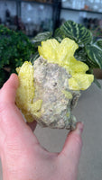 Sulfur Quartz